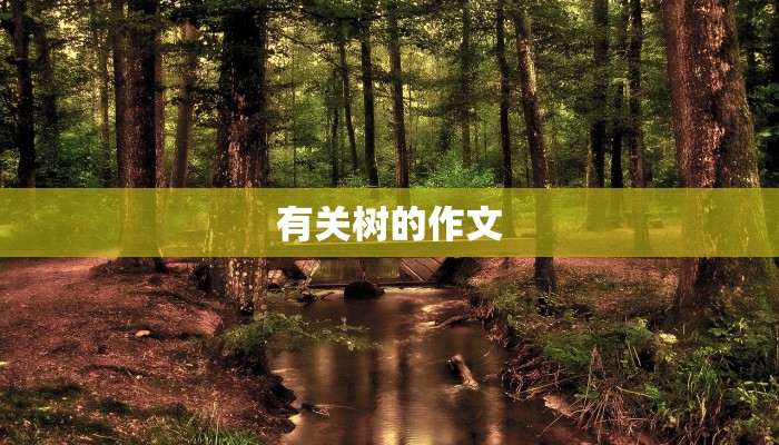 有关树的作文
