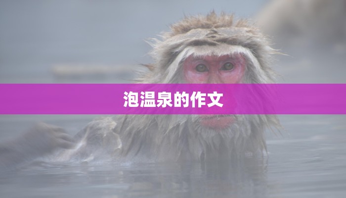 泡温泉的作文