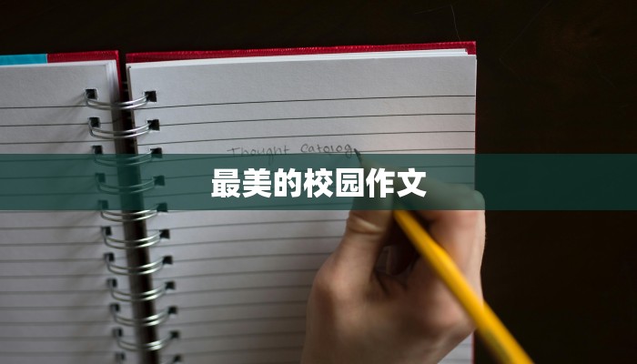 最美的校园作文
