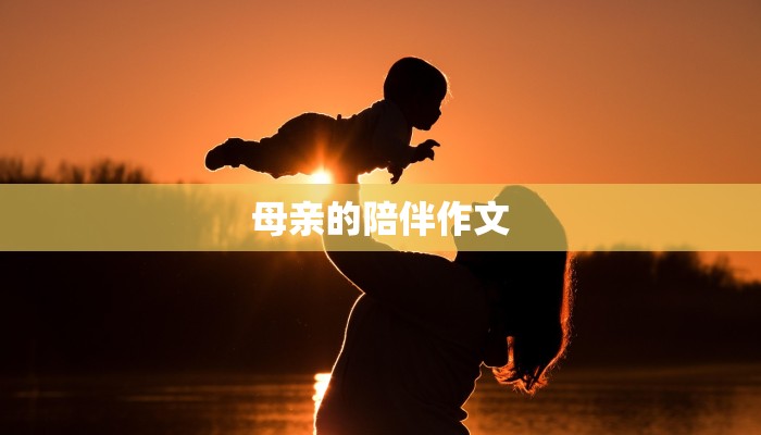 母亲的陪伴作文