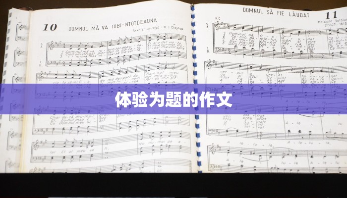 体验为题的作文