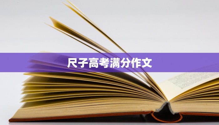 尺子高考满分作文