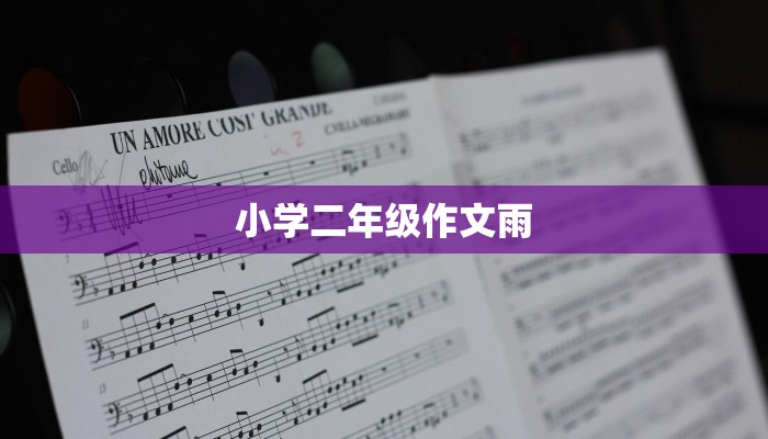 小学二年级作文雨