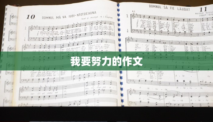 我要努力的作文