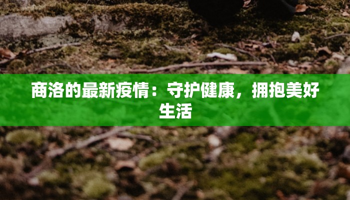 今日教程“佛手在线透视挂辅助”开挂辅助软件教程