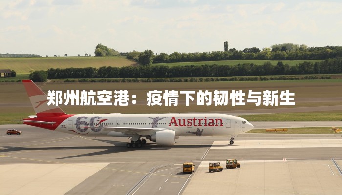 辅助神器“德扑之星到底透视挂真的假的”其实确实有挂