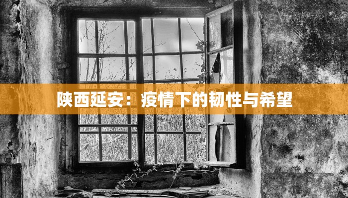 辅助神器“HHpoker怎么开挂”其实确实有挂