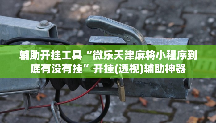 辅助神器“衢州都莱罗松怎么拿好牌”(详细透视教程)-知乎