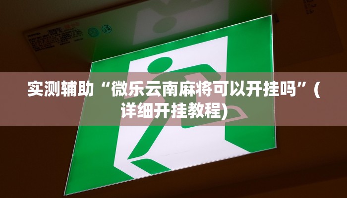 辅助神器“乐达大连麻将胡牌诀窍”其实确实有挂 辅助神器“乐达大连麻将胡牌诀窍”其实确实有挂