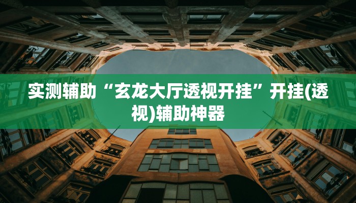 辅助神器“透视挂辅助器脚本”其实确实有挂