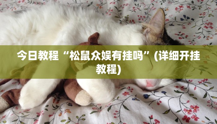 开挂辅助工具“友友联盟有透视挂吗”(透视)其实确实有挂