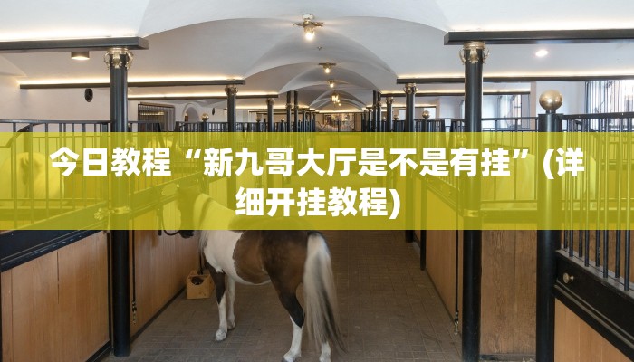 辅助神器“wepoker究竟有挂吗”开挂(透视)辅助教程 辅助神器“wepoker究竟有挂吗”开挂(透视)辅助教程