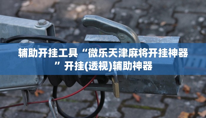 辅助神器“微乐江苏麻将怎么开挂”(透视)其实确实有挂