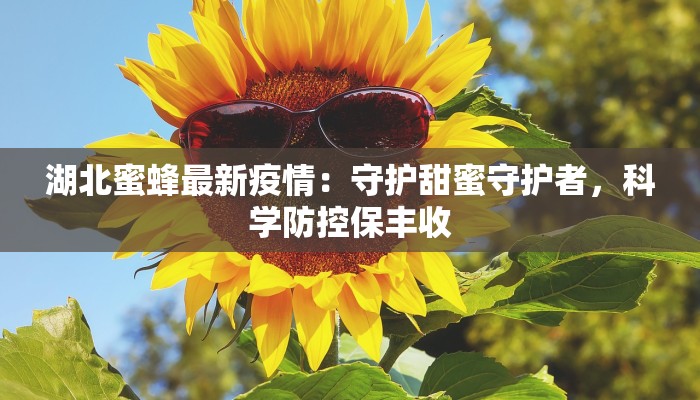 教程辅助“鲨鱼互动真的有挂”(详细开挂教程)