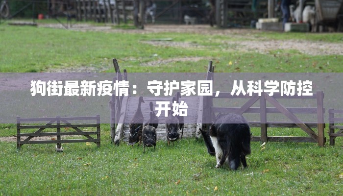 开挂辅助工具“欢乐碰胡辅助”其实确实有挂