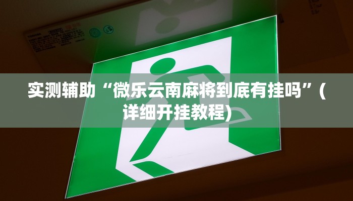 今日教程“麦穗能不能开挂”开挂辅助软件教程 今日教程“麦穗能不能开挂”开挂辅助软件教程