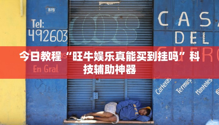 今日教程“星璇 咸鱼可以开挂吗”开挂辅助软件教程