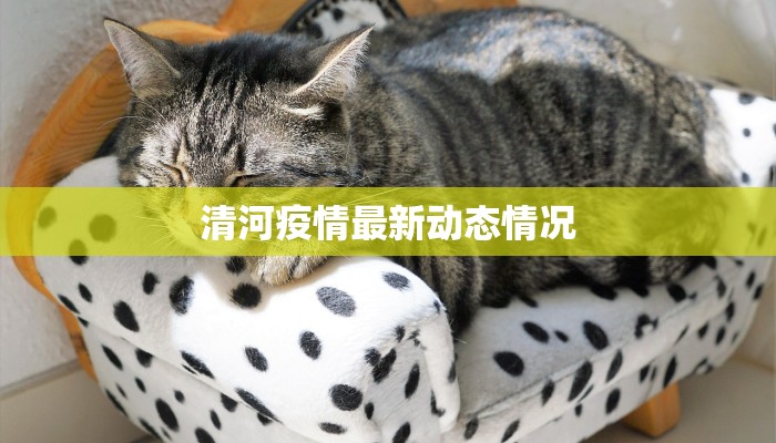 今日教程“美猴王究竟有没有挂”(详细开挂教程)