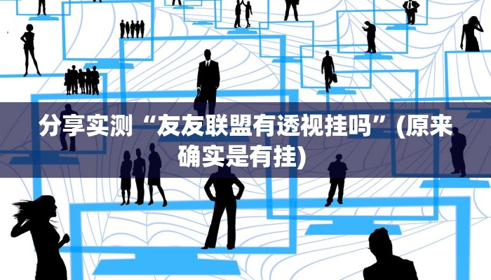 辅助神器“经典联盟辅助器”(透视)其实确实有挂