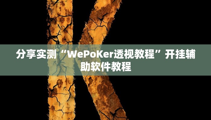 教程辅助“微乐安徽麻将开挂怎么买”开挂辅助软件教程