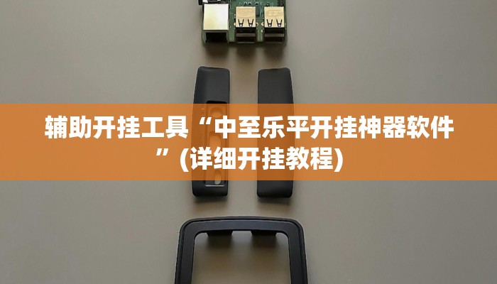 辅助神器“微乐捉老麻子外卦神器下载安装”其实确实有挂