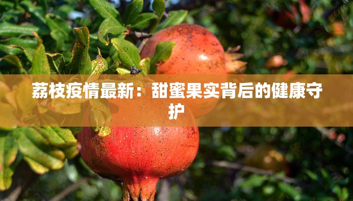 辅助神器“丽水跑得快有挂”(详细透视教程)-知乎