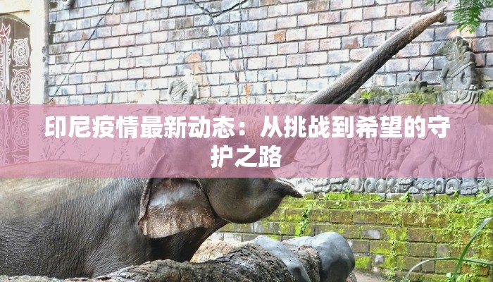 教程辅助“乐山二七十软件有没有挂”(详细透视教程)-知乎