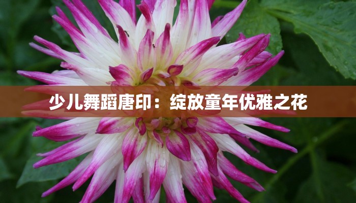 辅助神器“来喜棋牌到底有挂吗”开挂(透视)辅助教程