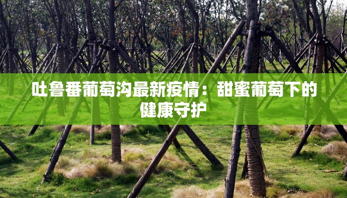 辅助神器“WePoKer透视挂安装教程”其实确实有挂 辅助神器“WePoKer透视挂安装教程”其实确实有挂