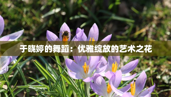 教程辅助“科乐吉林麻将可以开挂吗有挂”(详细透视教程)-知乎 教程辅助“科乐吉林麻将可以开挂吗有挂”(详细透视教程)-知乎