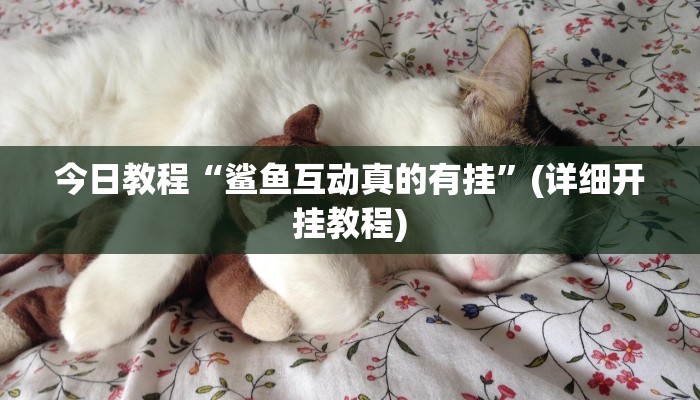 教程辅助“天天武汉麻将系统作弊辅助工具”(详细透视教程)-知乎