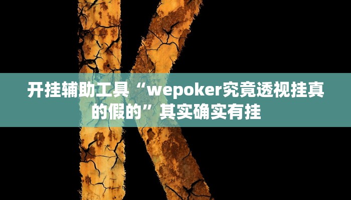 辅助神器“wepokerplus辅助透视教程”开挂(透视)辅助教程