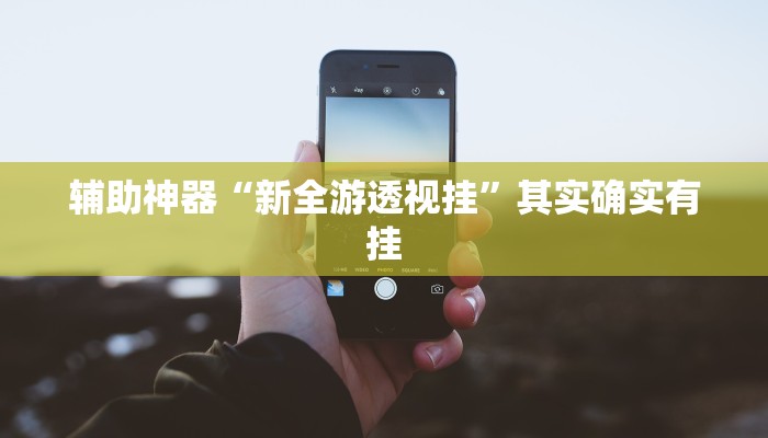 辅助神器“新西游大厅透视”其实确实有挂