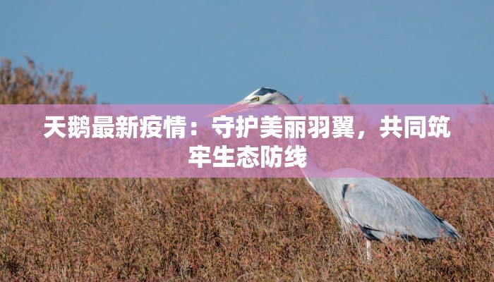 辅助神器“今日花牌开挂神器”(透视)其实确实有挂