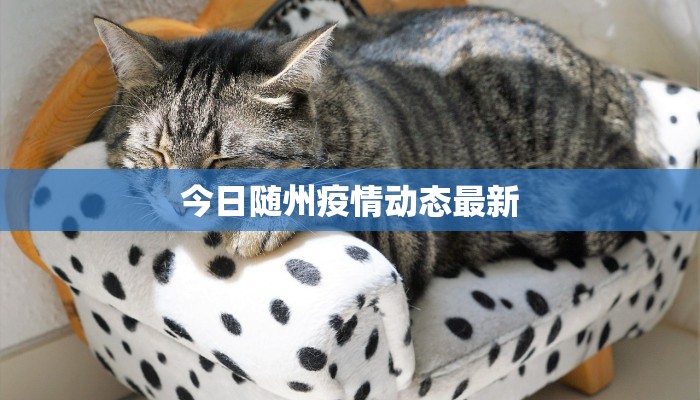 今日教程“红火众娱透视”开挂辅助软件教程