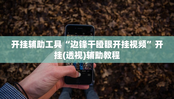 教程辅助“决战卡五星系统作弊辅助工具”其实确实有挂