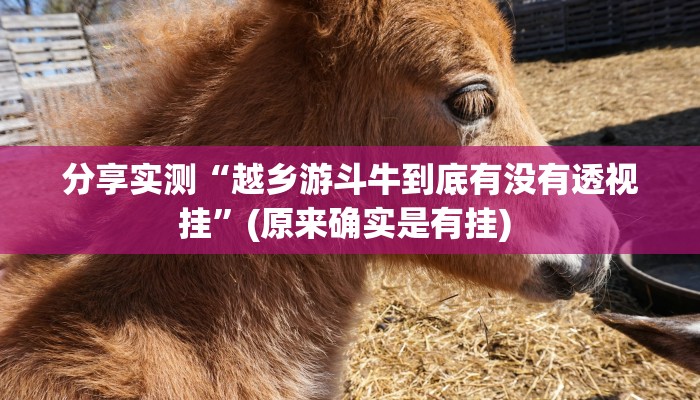 辅助神器“战皇大厅怎么开挂”(详细透视教程)-知乎