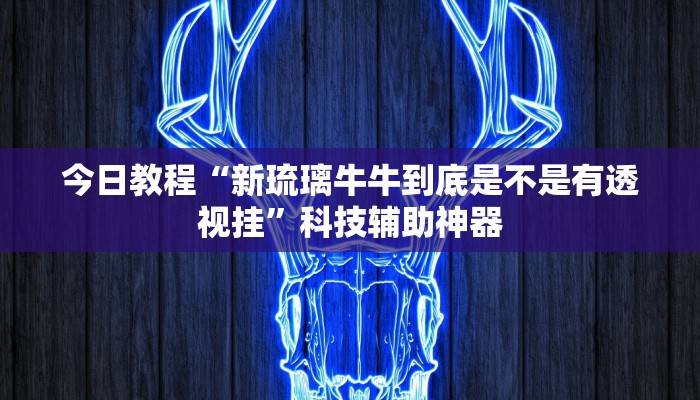 辅助神器“德扑之星是不是有透视”其实确实有挂