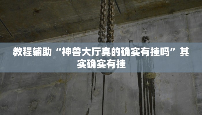 辅助神器“边锋斗地主能不能装挂”其实确实有挂 辅助神器“边锋斗地主能不能装挂”其实确实有挂