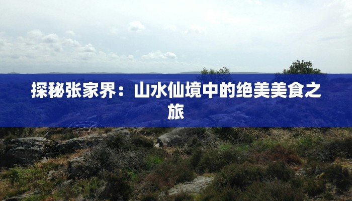 开挂辅助工具“新玉海楼茶苑可以开挂吗”(透视)其实确实有挂