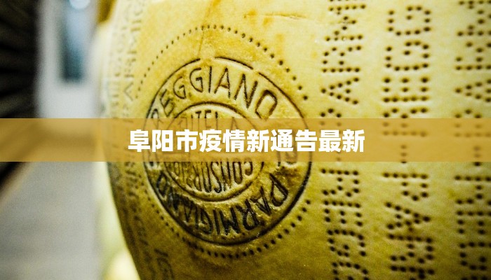 辅助神器“方片十三张万能开挂器”其实确实有挂