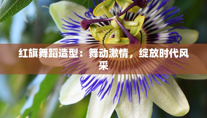 辅助神器“天天麻将川南开挂下载”(详细透视教程)-知乎 辅助神器“天天麻将川南开挂下载”(详细透视教程)-知乎