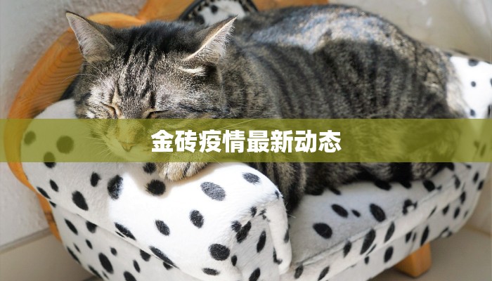 辅助神器“wepoker德州开挂透视软件”其实确实有挂