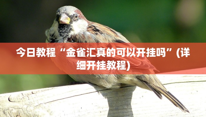 辅助神器“WePoker辅助作弊挂”其实确实有挂