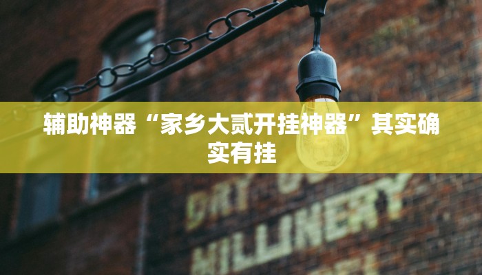 辅助神器“wepoker辅助作弊挂”其实确实有挂