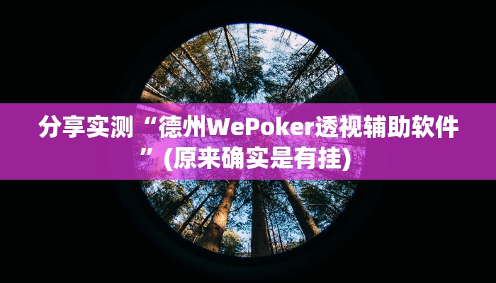 分享实测“德州WePoker透视辅助软件”(原来确实是有挂) 