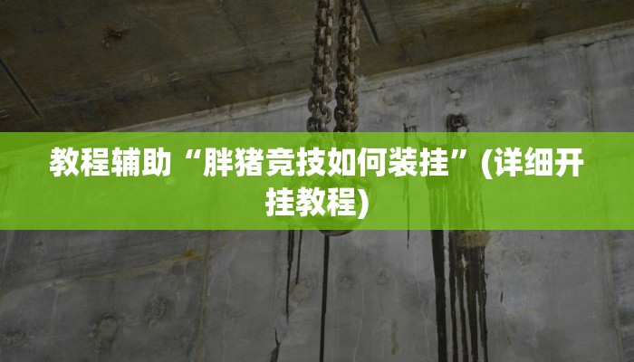 教程辅助“胖猪竞技如何装挂”(详细开挂教程) 教程辅助“胖猪竞技如何装挂”(详细开挂教程)