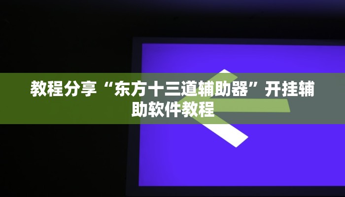 教程分享“东方十三道辅助器”开挂辅助软件教程
