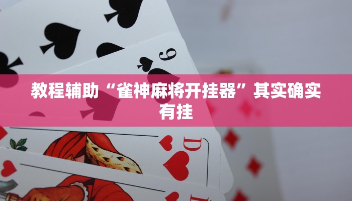 教程辅助“雀神麻将开挂器”其实确实有挂