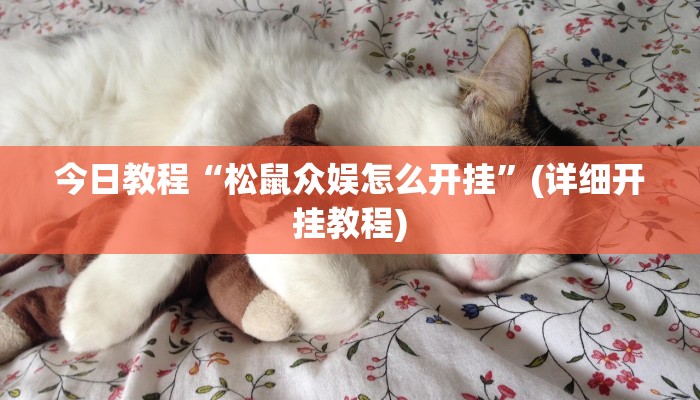 辅助神器“边锋跑得快有挂吗”(详细透视教程)-知乎 辅助神器“边锋跑得快有挂吗”(详细透视教程)-知乎